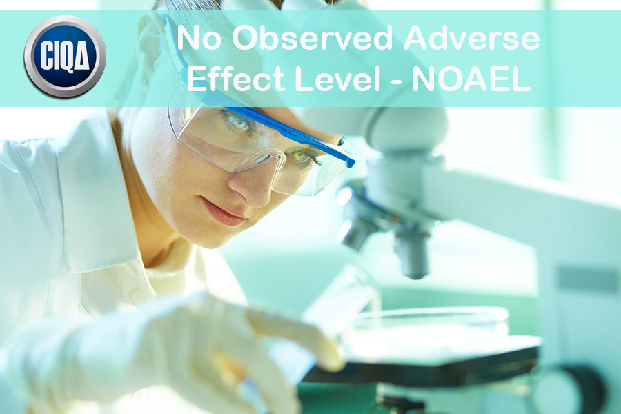 No Observed Adverse Effect Level - NOAEL