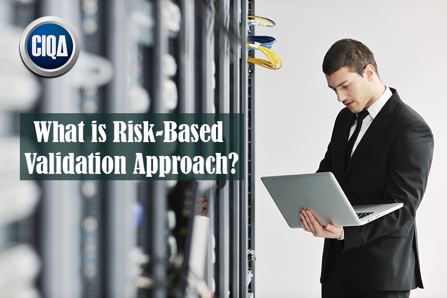 Read more about the article What is a Risk-Based Validation Approach – Priority Level?