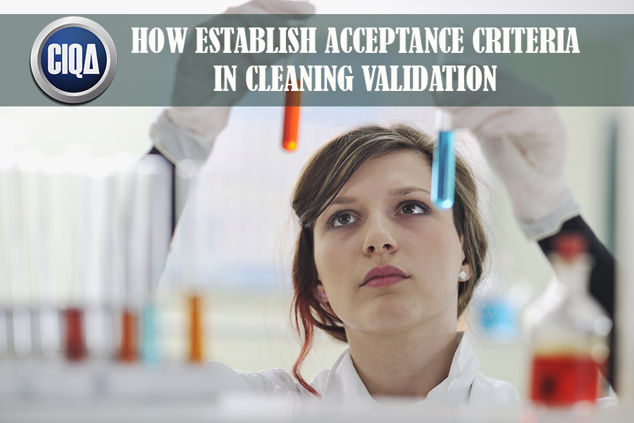 acceptance criteria in cleaning validation