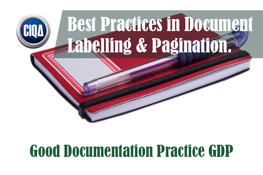 Best GDP Practices Document Labelling Pagination
