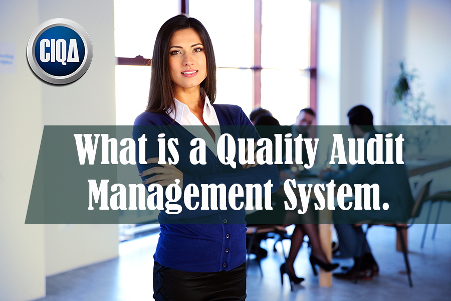 what is Quality Audit Management System (QAMS) 2